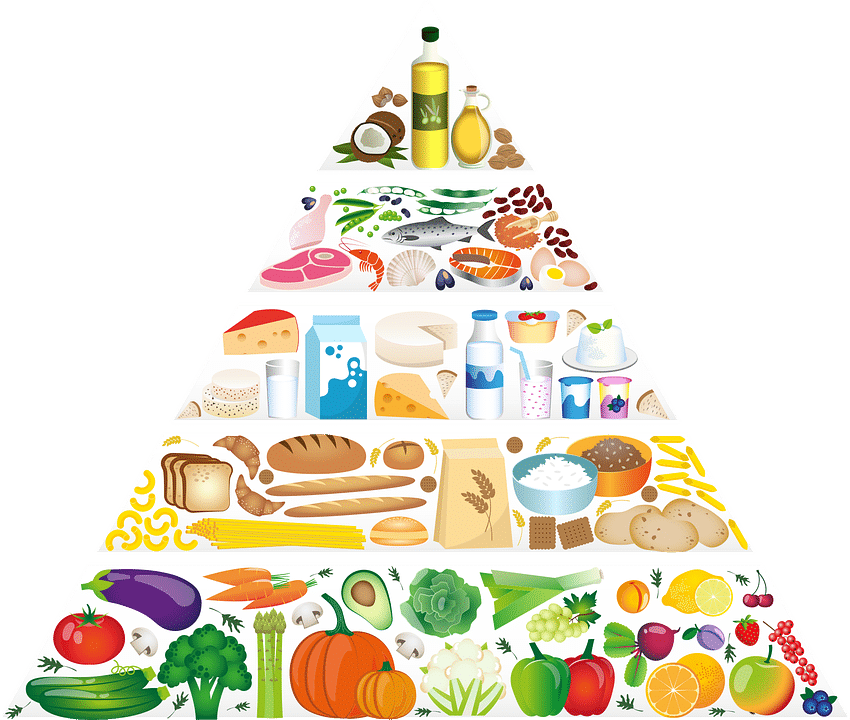 Nutrients Nutrition Eating Pyramid Food Pyramid
